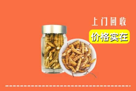 收购资讯:松原市扶余回收散虫草