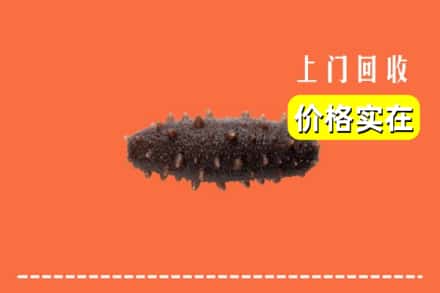 收购资讯:松原市扶余回收海参