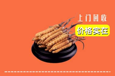 松原市扶余回收冬虫夏草