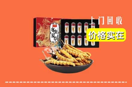 松原市扶余回收虫草