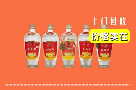 松原市扶余回收老五粮液